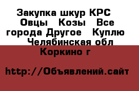 Закупка шкур КРС , Овцы , Козы - Все города Другое » Куплю   . Челябинская обл.,Коркино г.